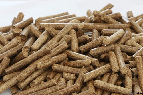 生物质燃料工厂 生物能源 木屑